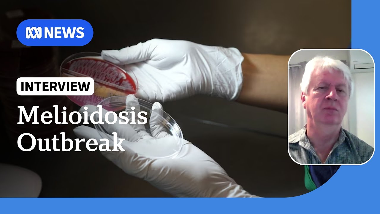 Growing concerns amid record number of melioidosis cases in Townsville | ABC NEWS