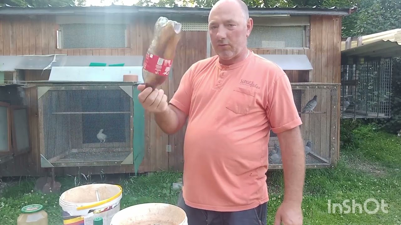 Wrocil golab z Polski  przy 31°C, 745 km