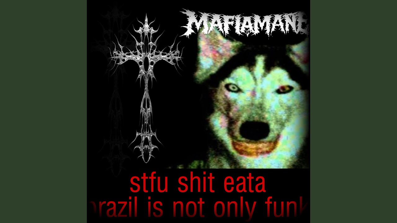 stfu shit eata, brazil is not only funk