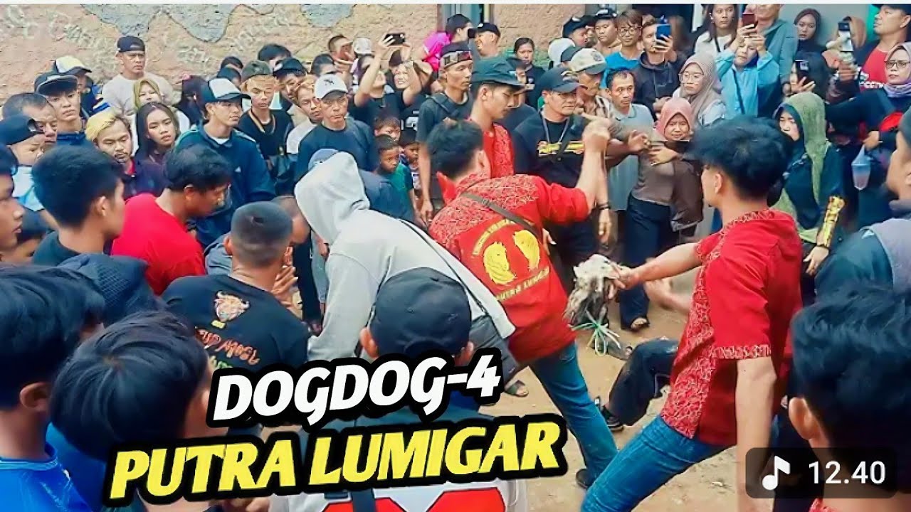 DOGDOG 4 DI TEMPAT SENI REAK PUTRA LUMIGAR