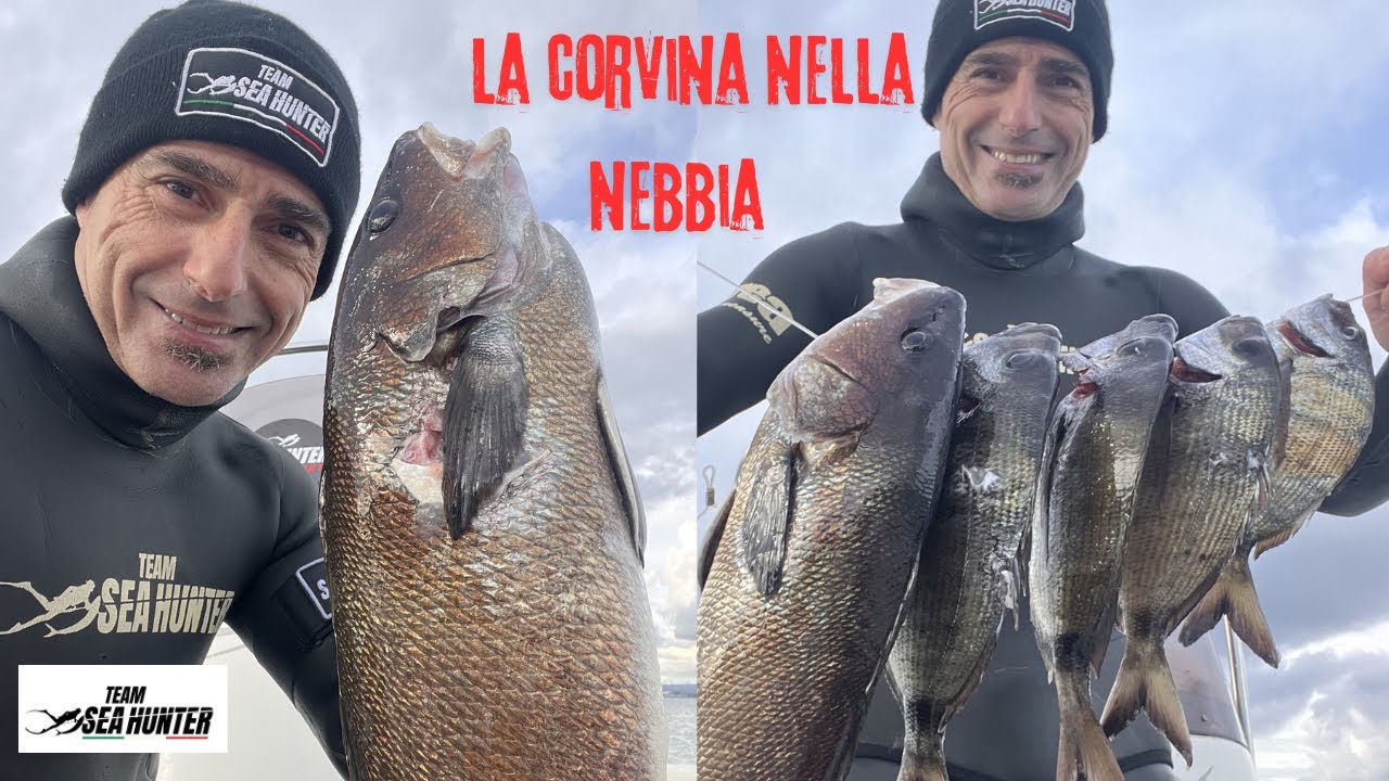 Corvina da Sogno nella nebbia e 4 Saraghi in Carniere!