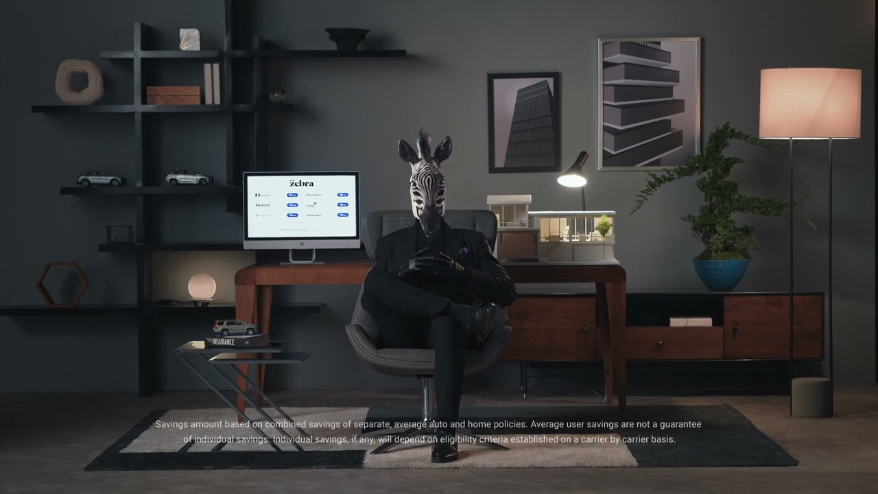 The Zebra | Save Your Sanity