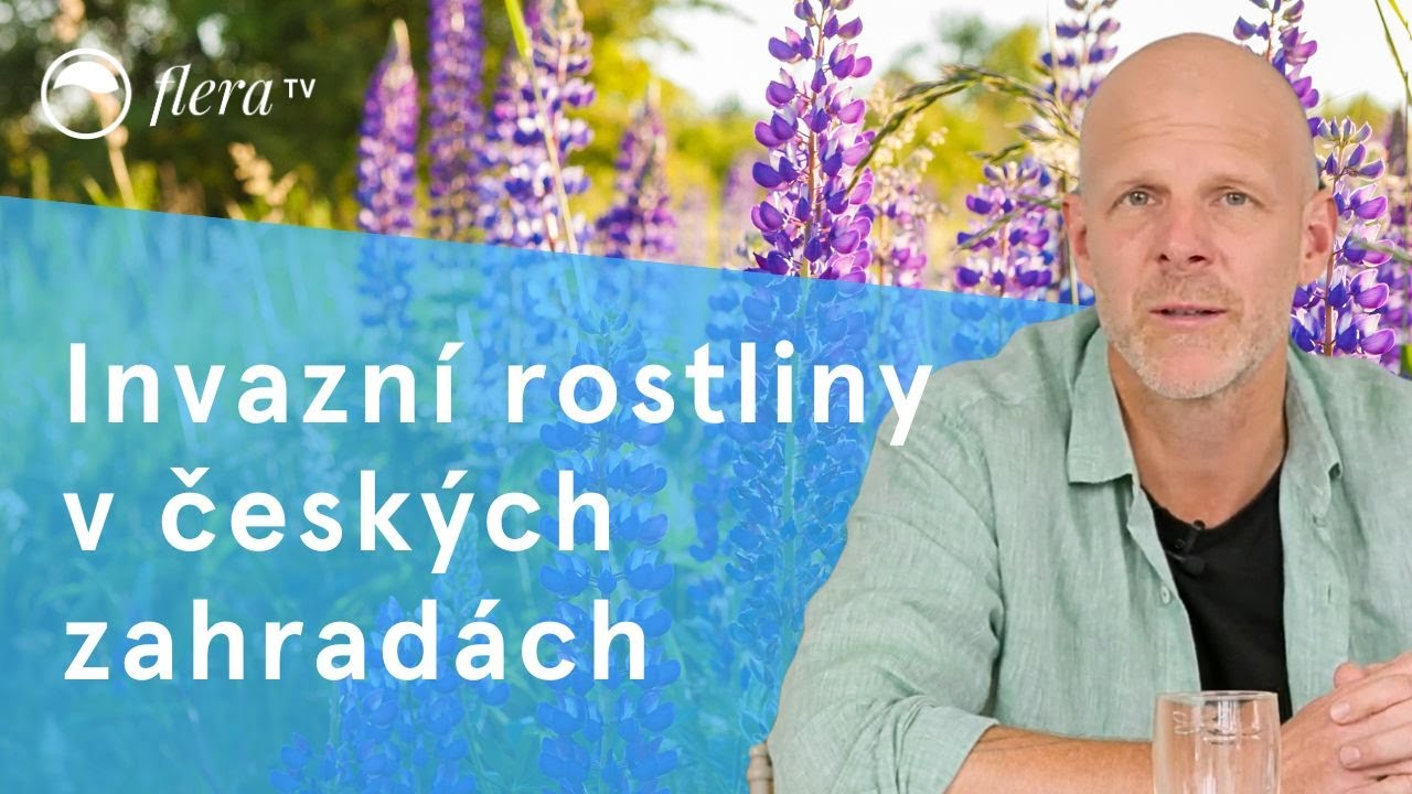 Invazní rostliny v českých zahradách | Flera TV