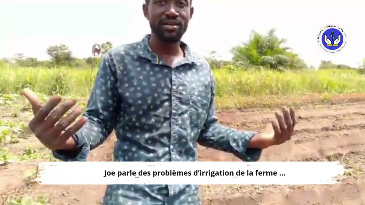 Défi d’irrigation à Linzolo | Les travailleurs de la ferme Bimpatu expliquent la situation
