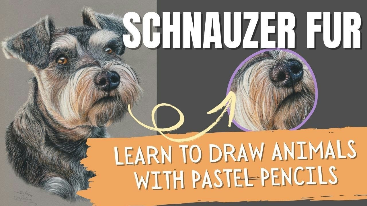 How to Draw Miniature Schnauzer Fur with Pastel Pencils (Step by Step)