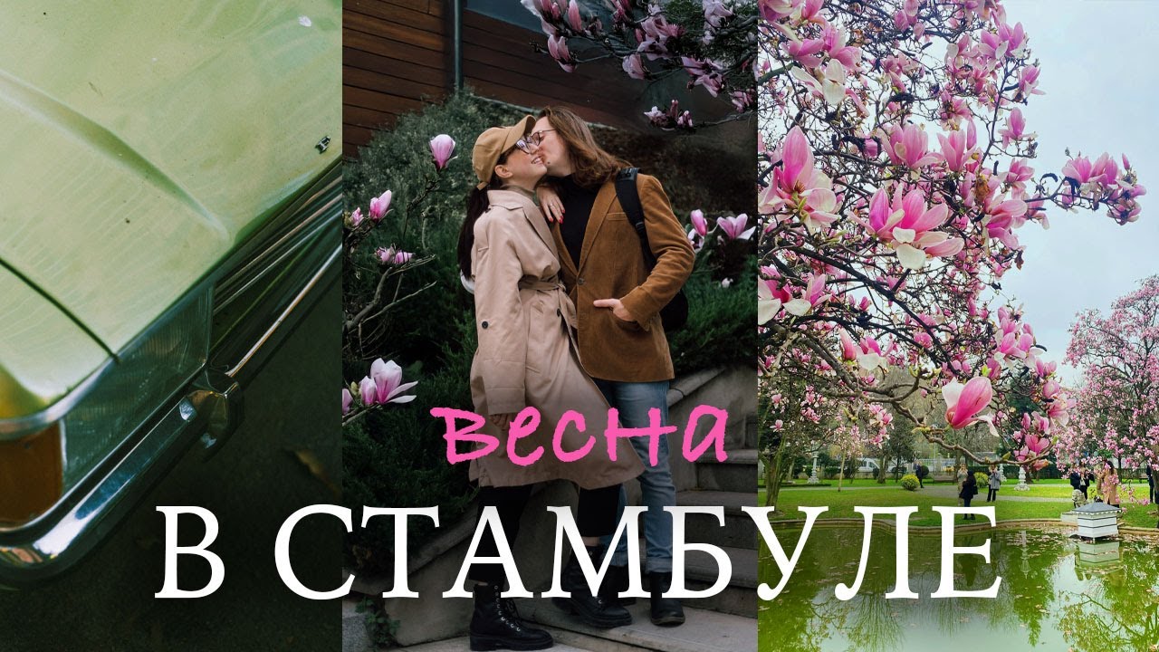 ЛУЧШИЕ места СТАМБУЛА весной | ЦВЕТУЩАЯ МАГНОЛИЯ | Парки и музеи, которые стоит посетить