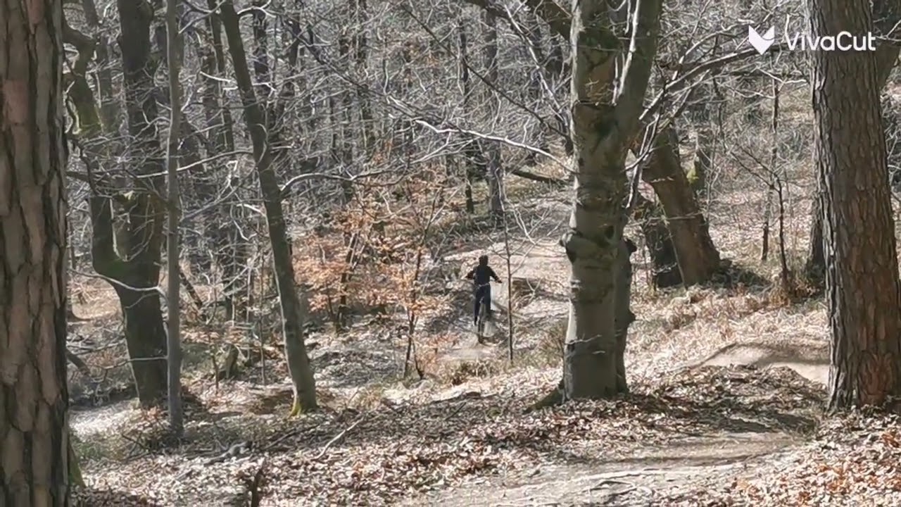 Golovec trails HP edition