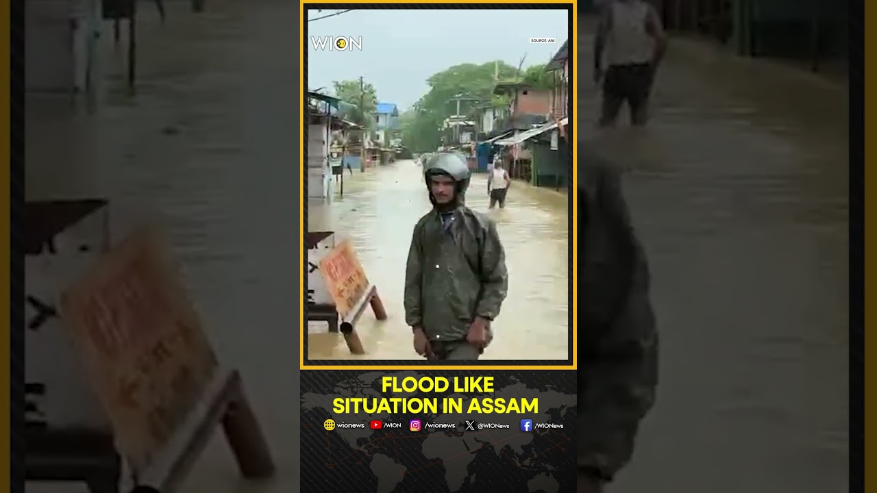 Assam Floods:  Continuous Rainfall Triggers A Flood-like Situation In Assam's Jorhat District | WION