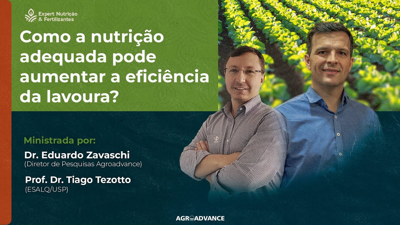 Aumente a eficiência da sua lavoura com nutrição adequada