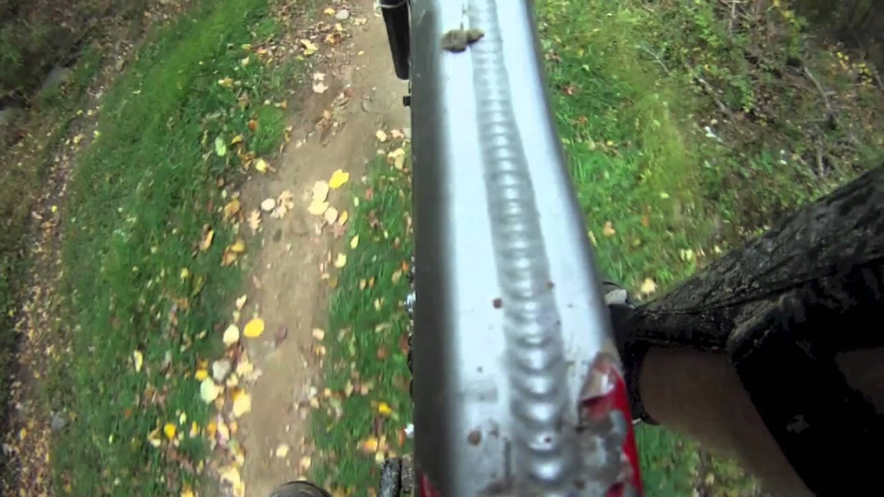 Adrenaline Rush Trailer