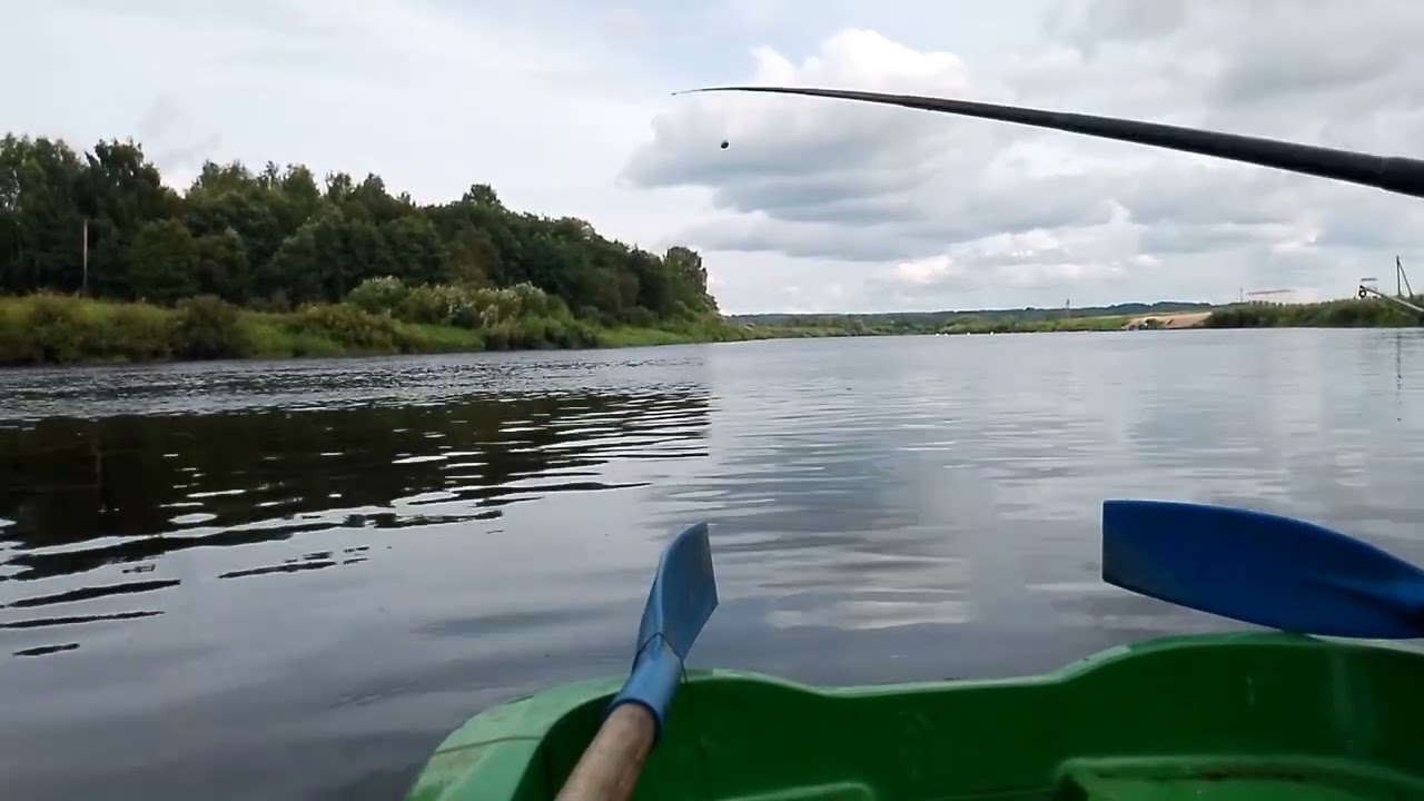 Ловля живца и проверка наживок часть 2