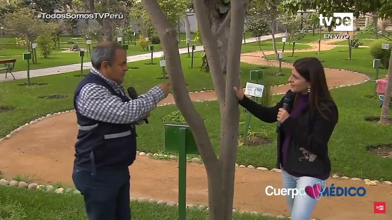 Biólogo experto en botánica del INS presenta propiedades de la Sangre de Grado como planta medicinal