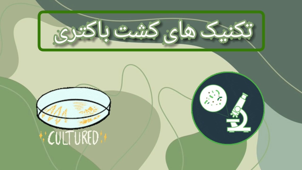 تکنیک های کشت باکتری ( Bacterial culture techniques)