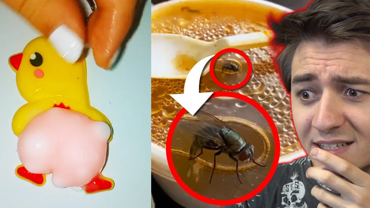 Video Che NON VUOI VEDERE Ma la Curiosità È Troppo Forte