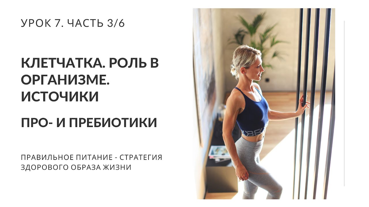 Клетчатка. роль в организме. Источники. Про- и пребиотики. Избыток клетчатки. Урок 7. Часть 3/6