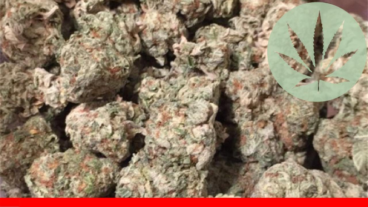 Blackberry - All About This Strain