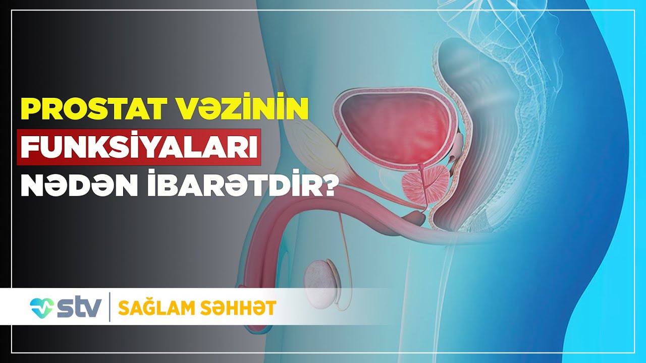 Prostat vəzinin funksiyaları nədən ibarətdir? - (26.03.2025)