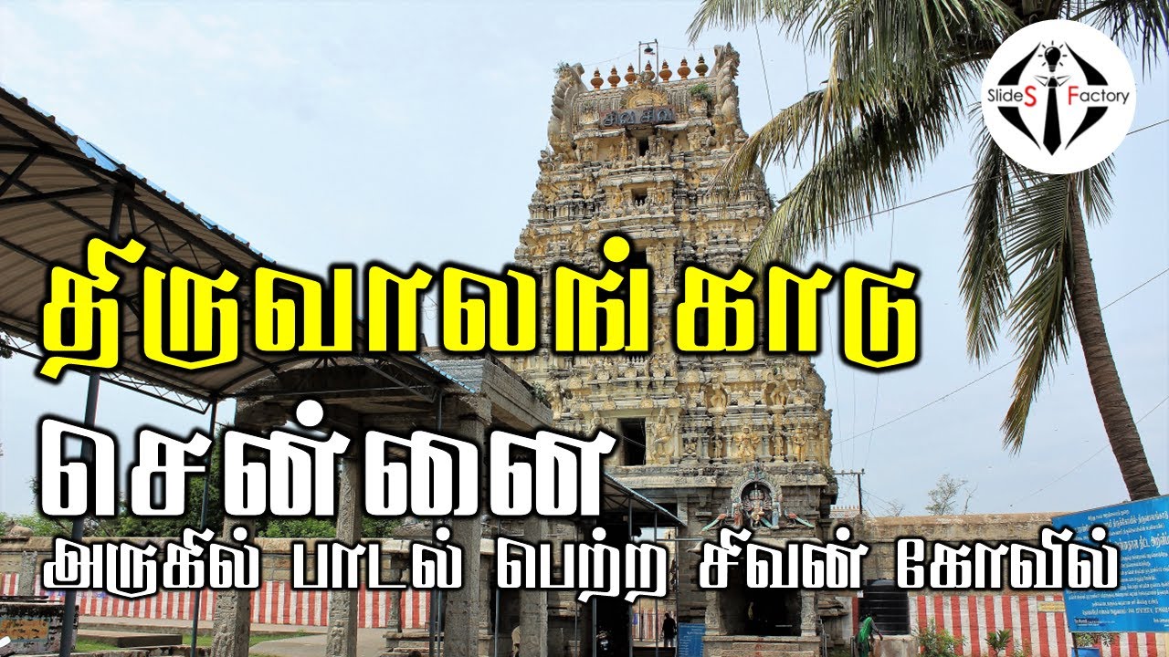 Thiruvalangadu | திருவாலங்காடு ஆலயம் #Thiruvalangadu #thiruvallur #vlog #temple #tamil