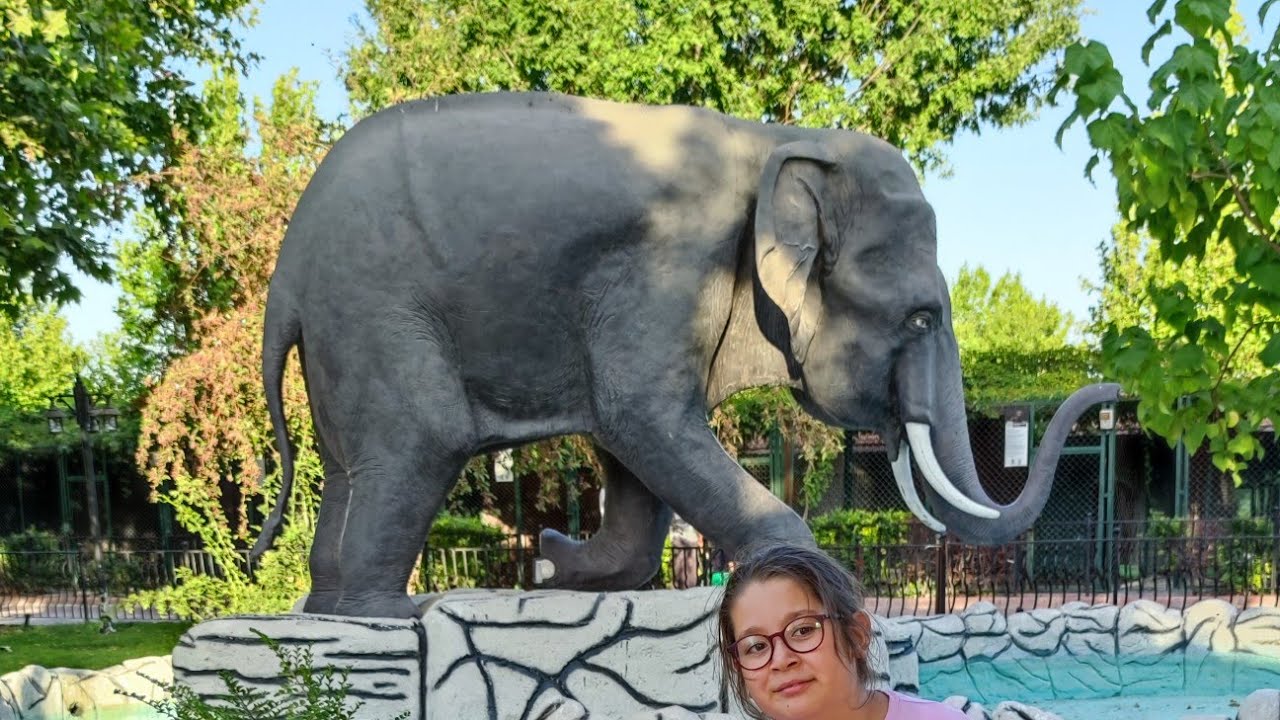 Konya hayvanat bahçesi 2022 yeni! #konyahayvanatbahcesi #hayvanatbahcesi #karatayhayvanatbahcesi