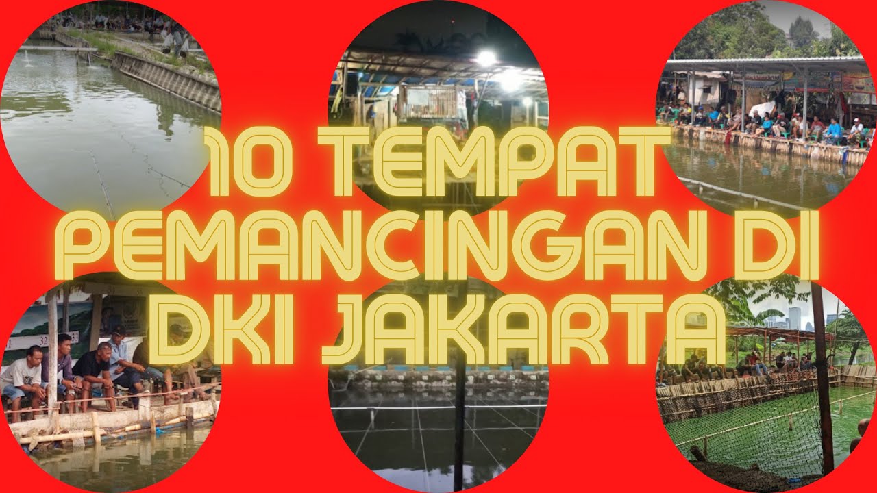 Mancing Mania Jakarta Yuks !!! 10 Rekomendasi Tempat Pemancingan Di DKI Jakarta