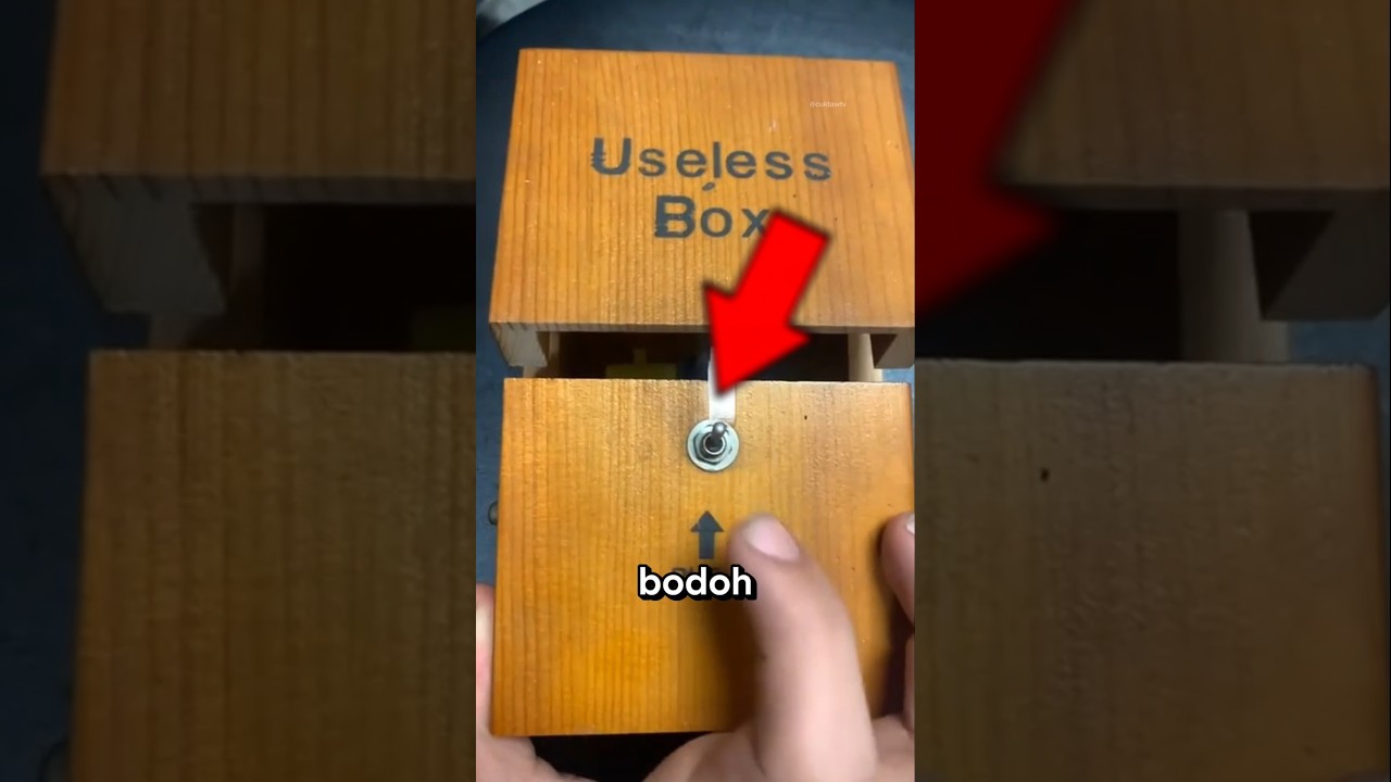 Kotak Ini Sangat Bodoh dan Tidak Berguna