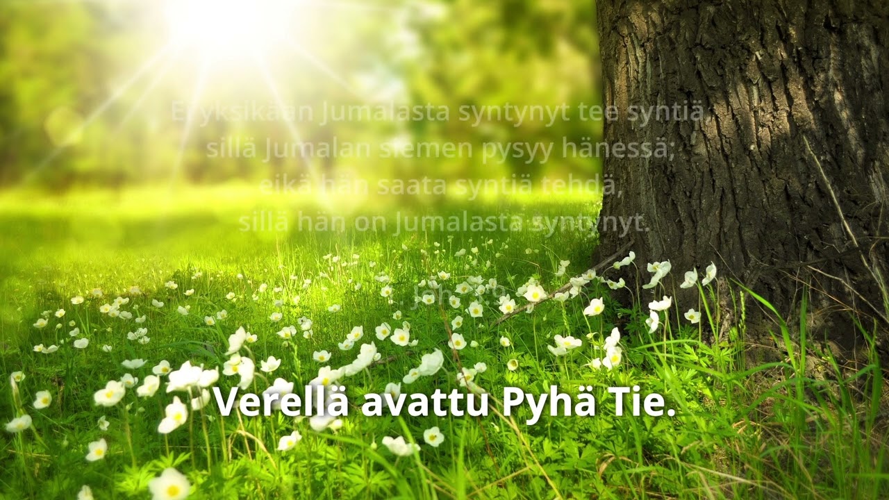 LÄVITSE KYYNELLAAKSON
