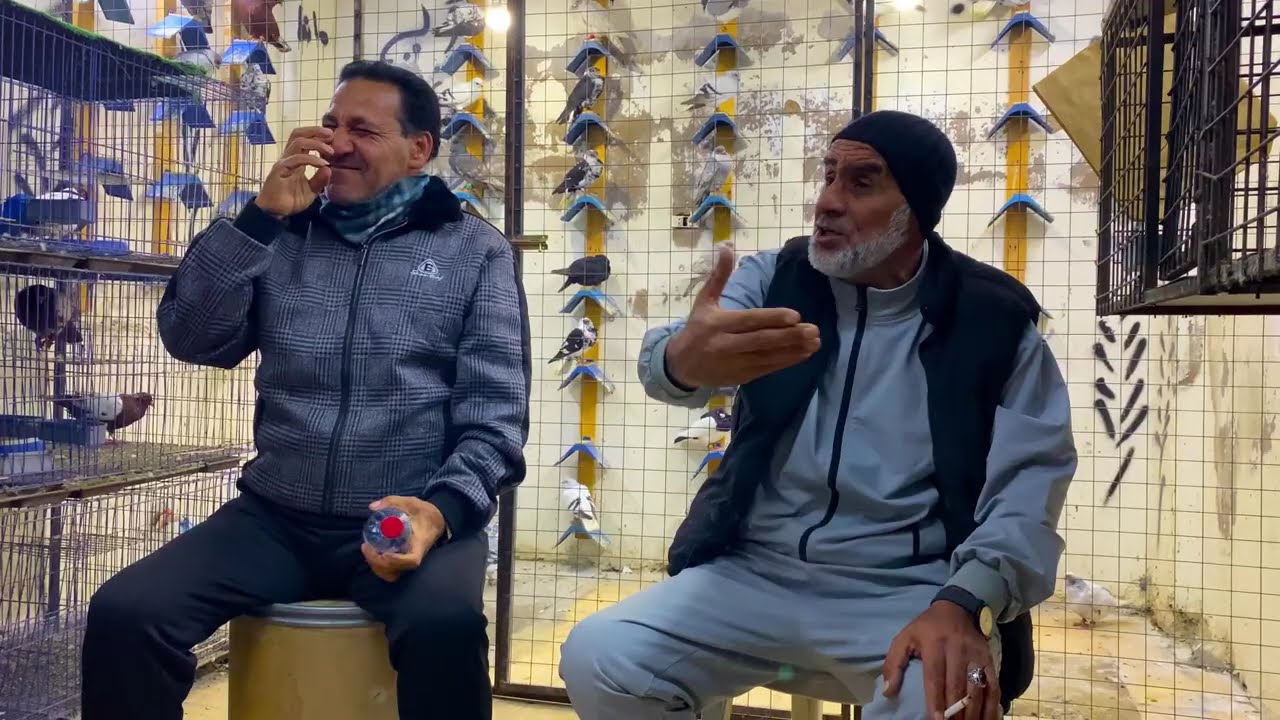 ليش ابو نعيم باع الحمام 🤔 وليش ما بنصور عندو 😱