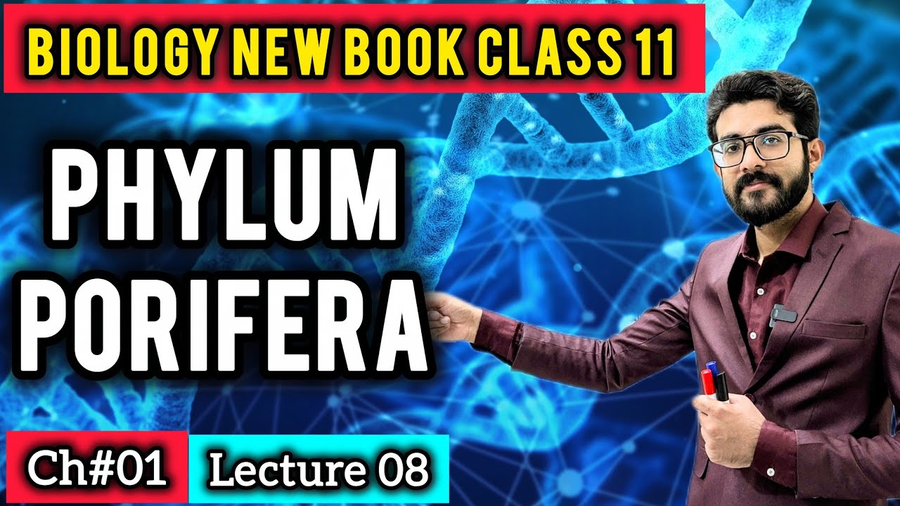 Phylum PORIFERA (SPONGES) | Kingdom Animalia | Class 11 Biology New Book 2025 #poriferaclass11