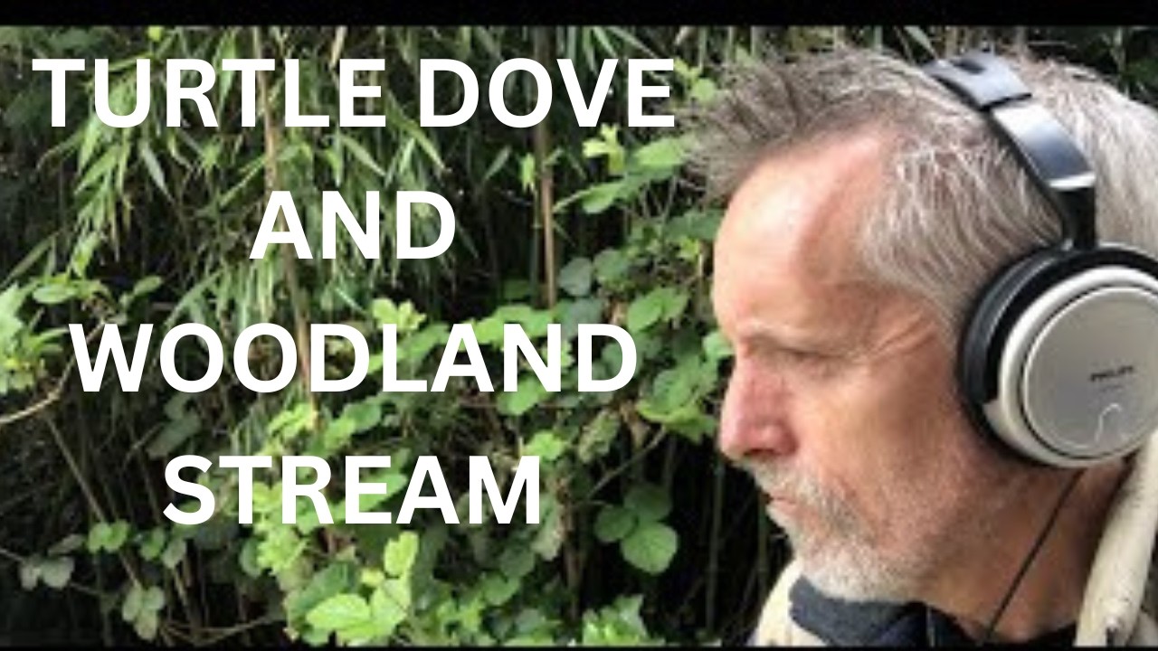 Could this be the most restful sound in nature - sadly might be lost forever