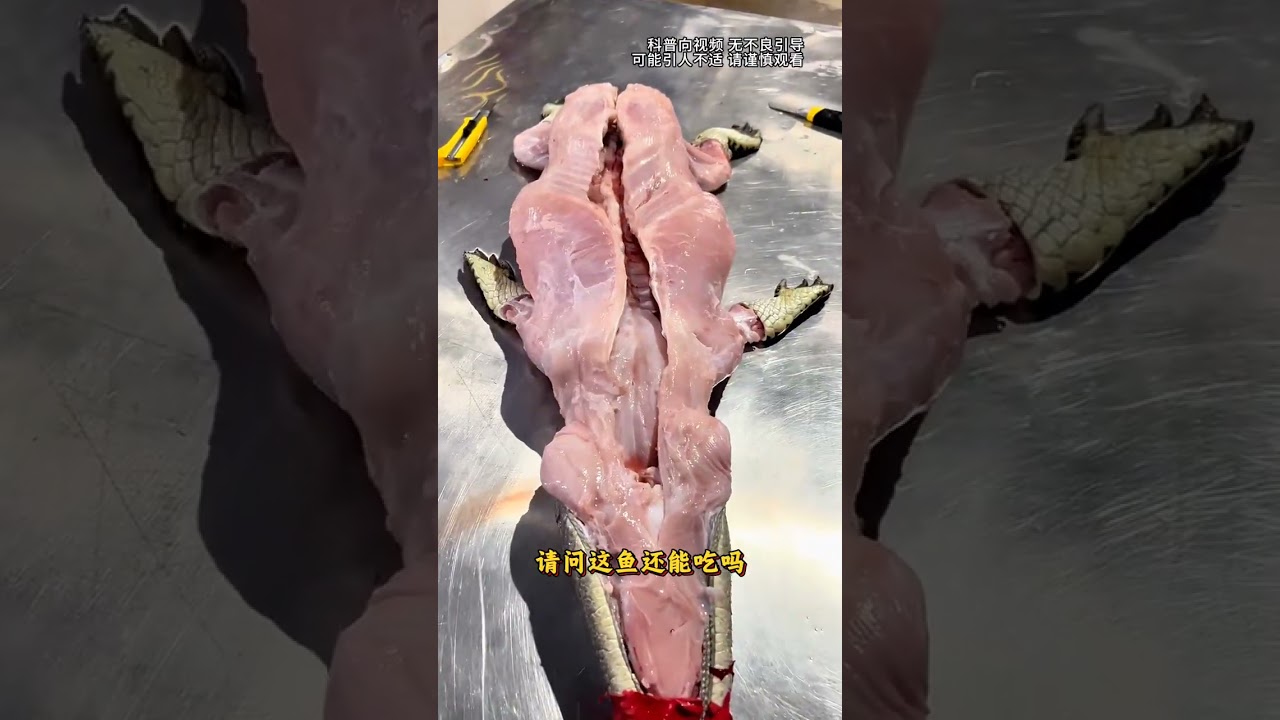 Top 10 Edible Fish You Must Try