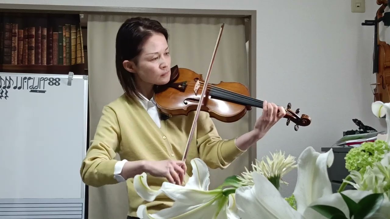 @小さな世界 @itsasmallworld @disney @violin