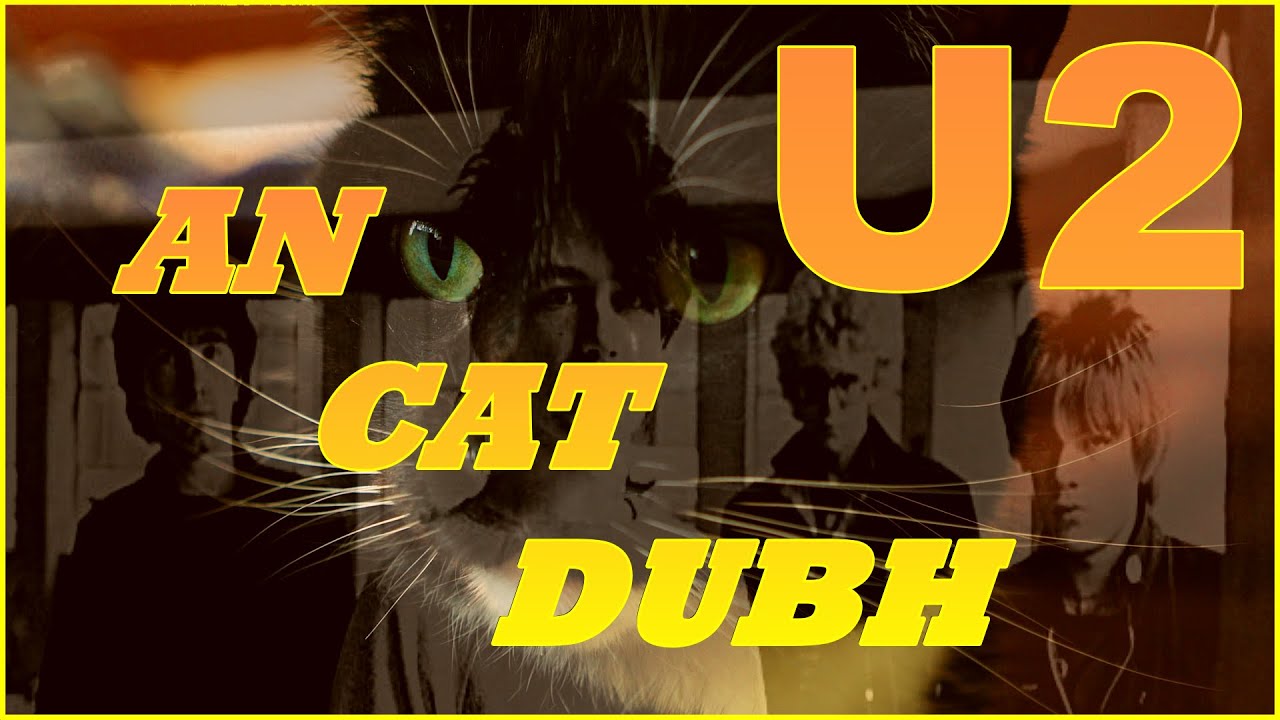 U2 - AN CAT DUBH - (BLACK CAT)