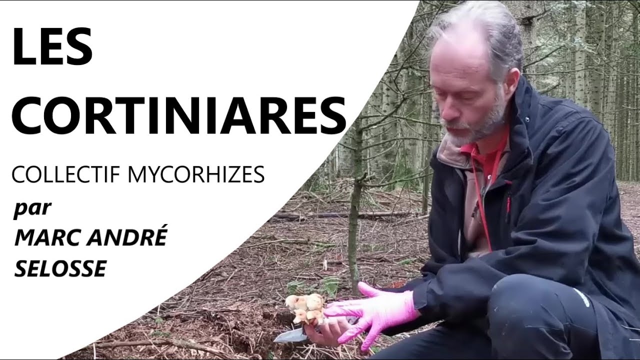 Épisode 17 : LES CORTINAIRES - Marc André SELOSSE & le Collectif Mycorhizes