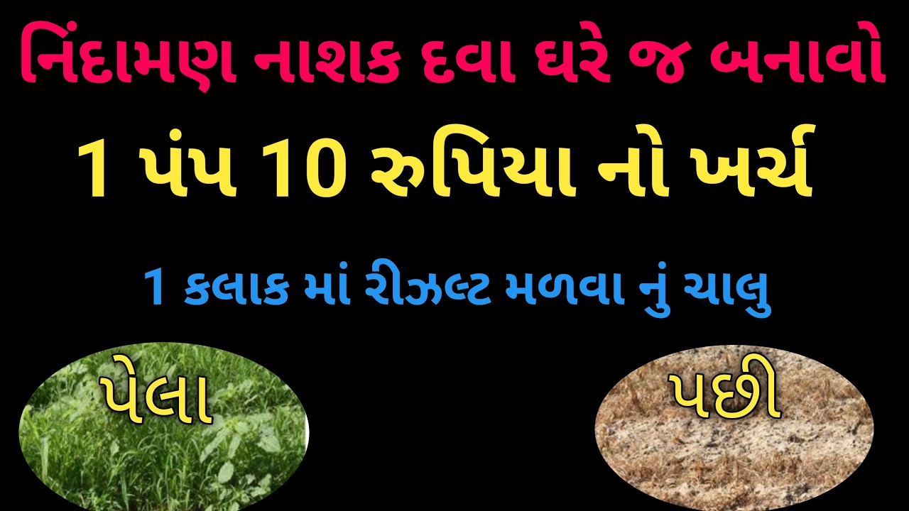 નિંદામણ નાશક દવા ઘરે જ બનાવો|| 1 પંપ 10 રૂપિયા નો ખર્ચ || 1કલાક માં રીઝલ્ટ મળવાનું ચાલું|| ખળ ની દવા