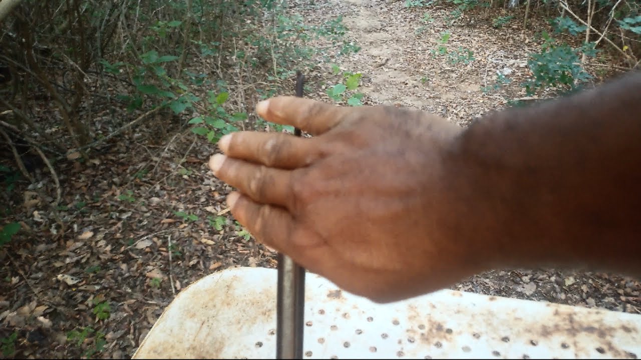 CAÇADA DE JACARÉ  COM BATE BUCHA CALIBRE 50 CANO RAIADO. E codorniz com calibre 12