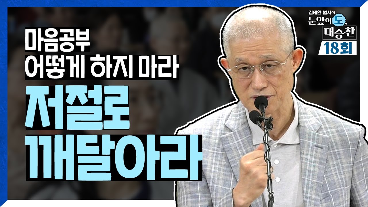마음 공부 어떻게 해야 하지? 어떻게 할 수 있는 일이 아니다. 저절로 깨달아라! | 김태완 법사의 눈앞의 도, 대승찬 18화