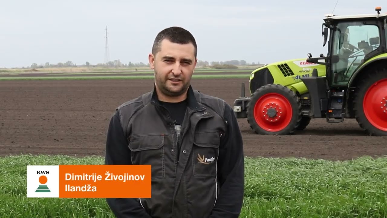 Setva KWS kukuruza | Ilandža  - Dimitrije Živojinov | od setve - do žetve
