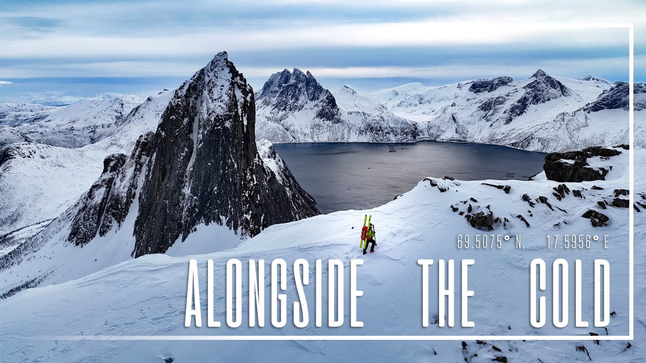 Senja | Alongside The Cold