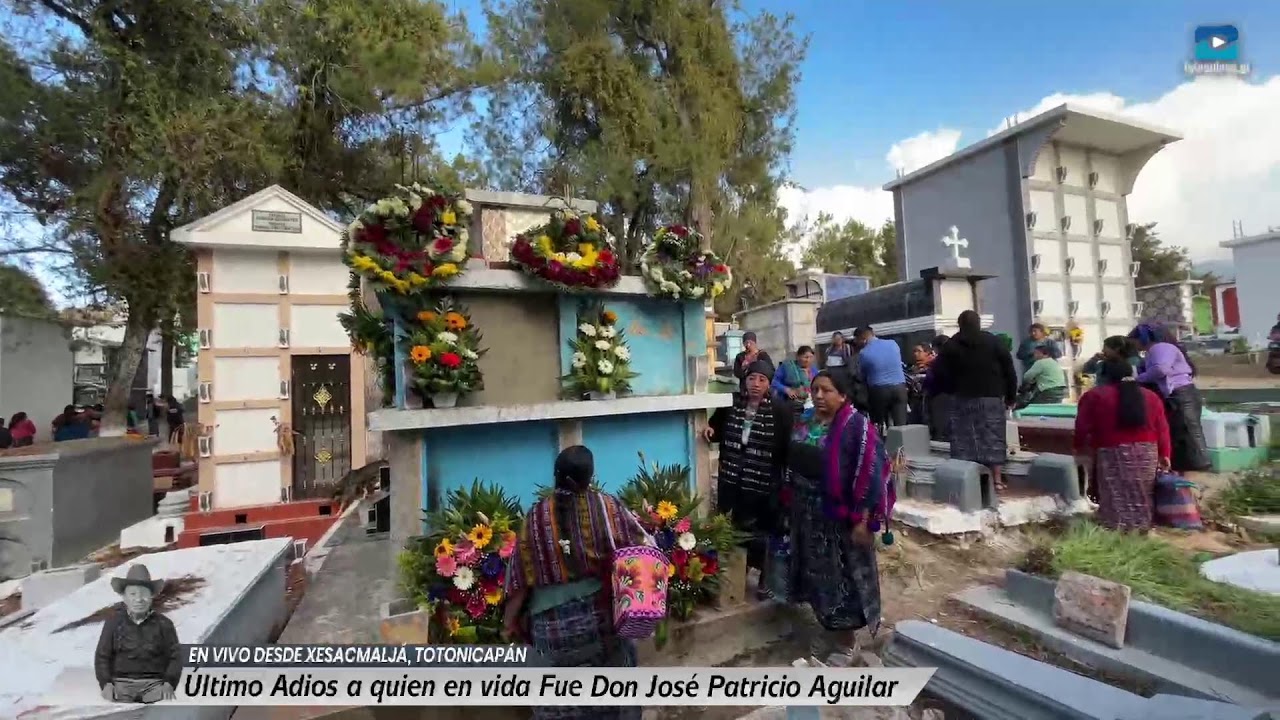en vivo