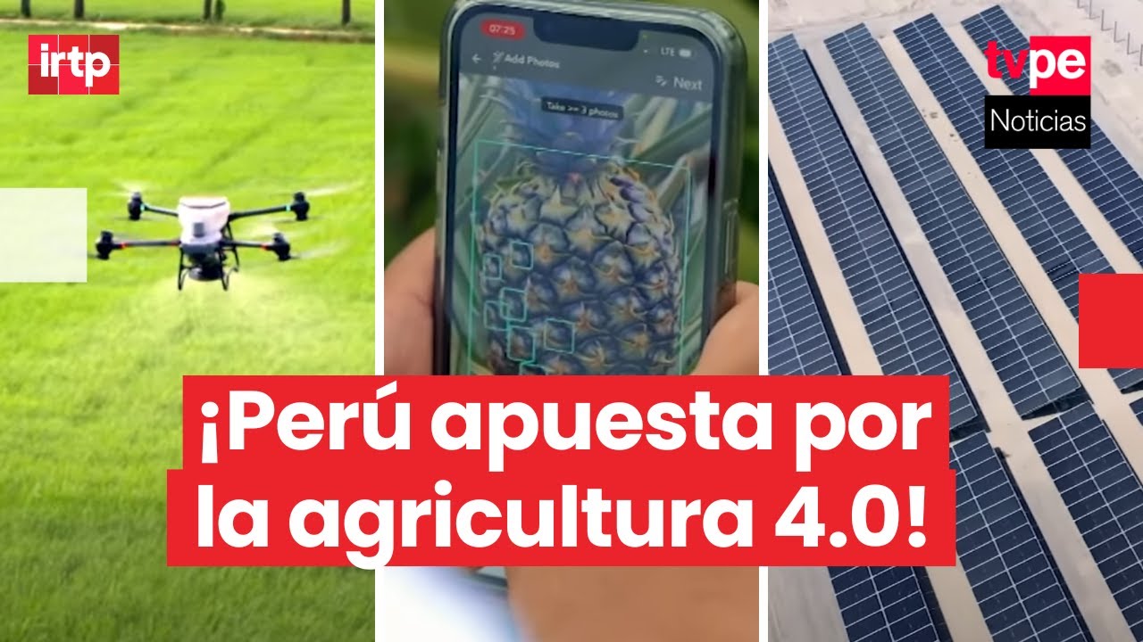 Desde drones, IA, sensores y paneles: la revolución de la agricultura en el Perú I 