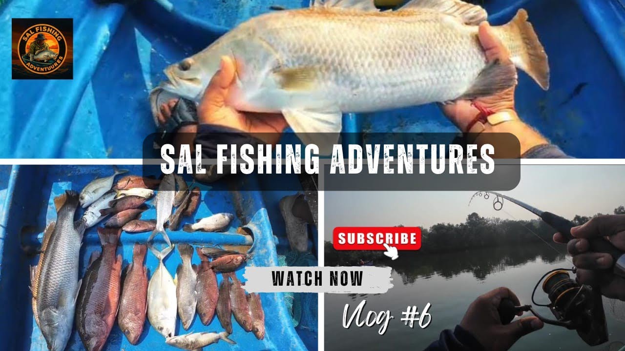 The Barramundi We Never Saw Coming | Fishing In South Goa | River Fishing | #goa 