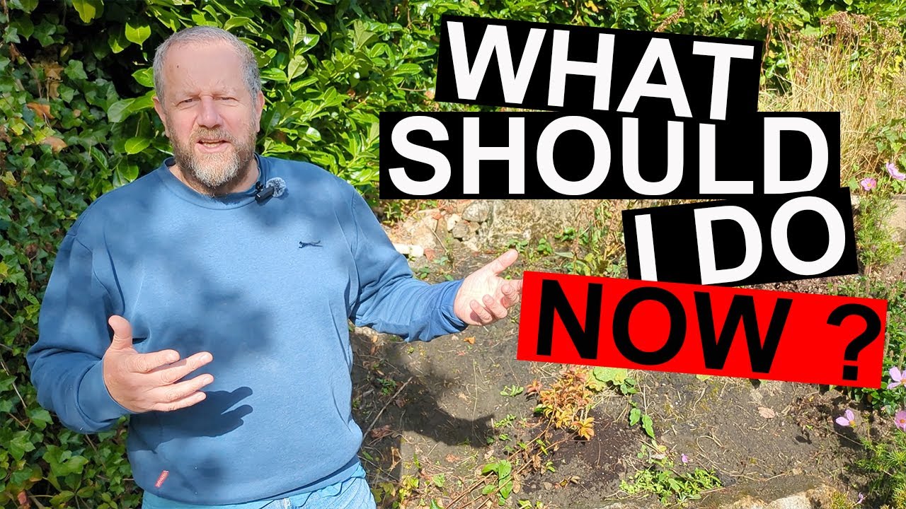 Searching for passion project in retirement. What to do in retirement?