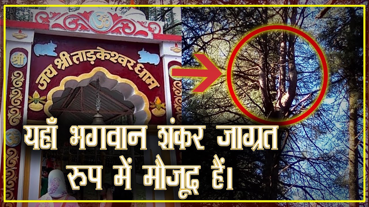 यहाँ भगवान शंकर जाग्रत रूप में मौजूद हैं | History Of Tarkeshwar Mahadev Lansdowne