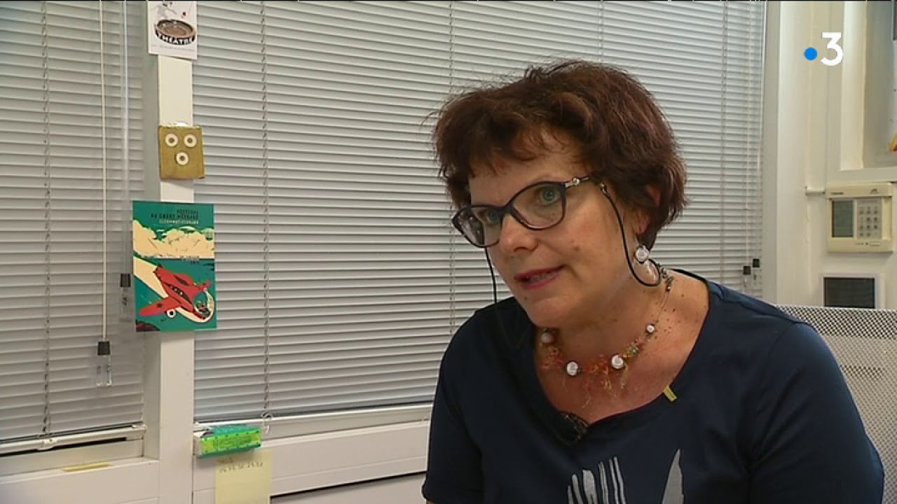 Maison De La Justice Et Du Droit - REPORTAGE FRANCE 3