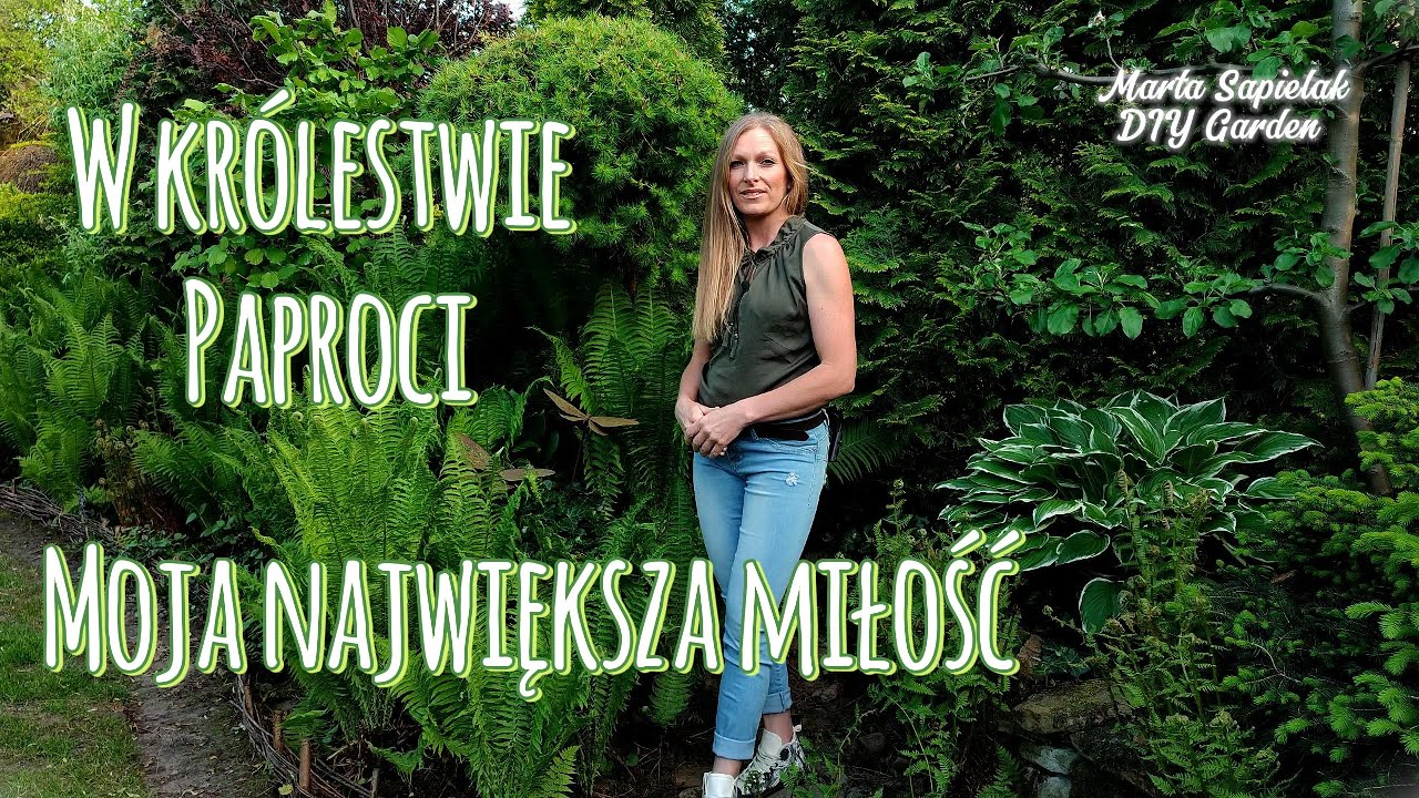 Witaj w królestwie paproci