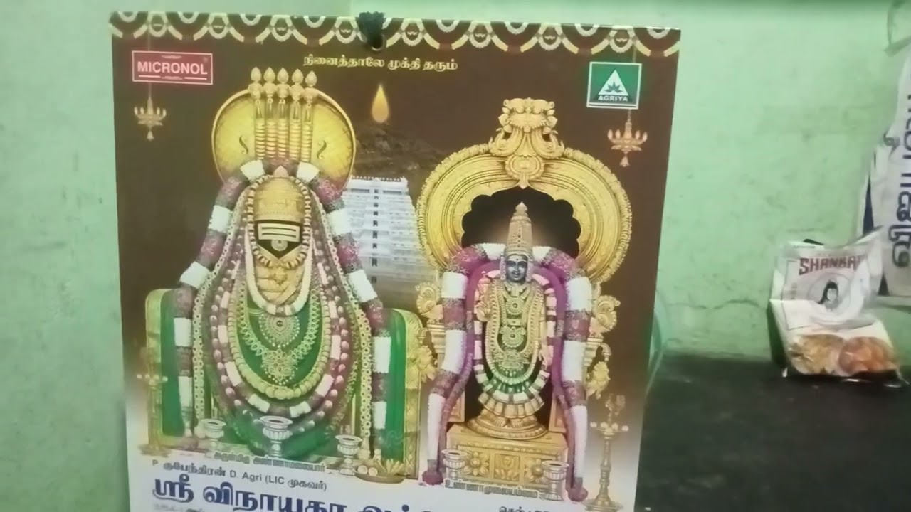 தென்னாட்டுடைய..சிவனே...போற்றி....எந்நாட்டவர்க்கும்...இறைவா...போற்றி....அனுபவம்....2