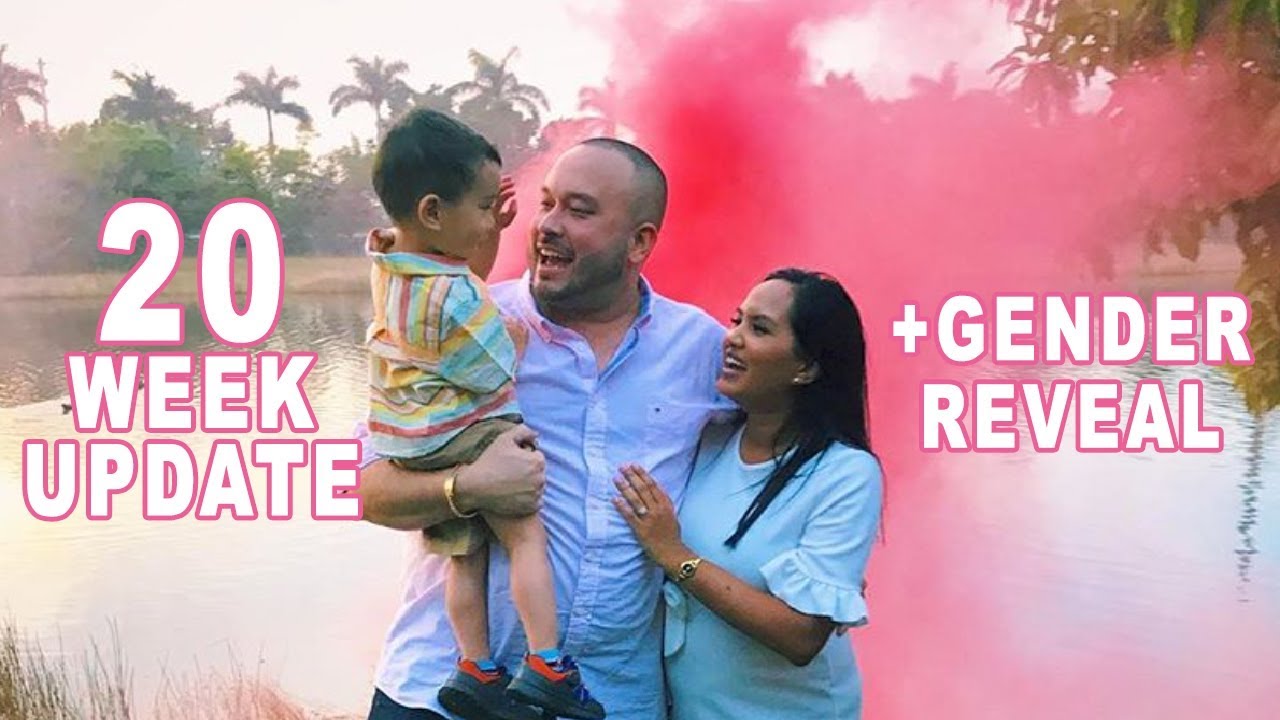 20 Week Pregnancy Update | Gender Reveal | Anatomy Scan | ariellethalia
