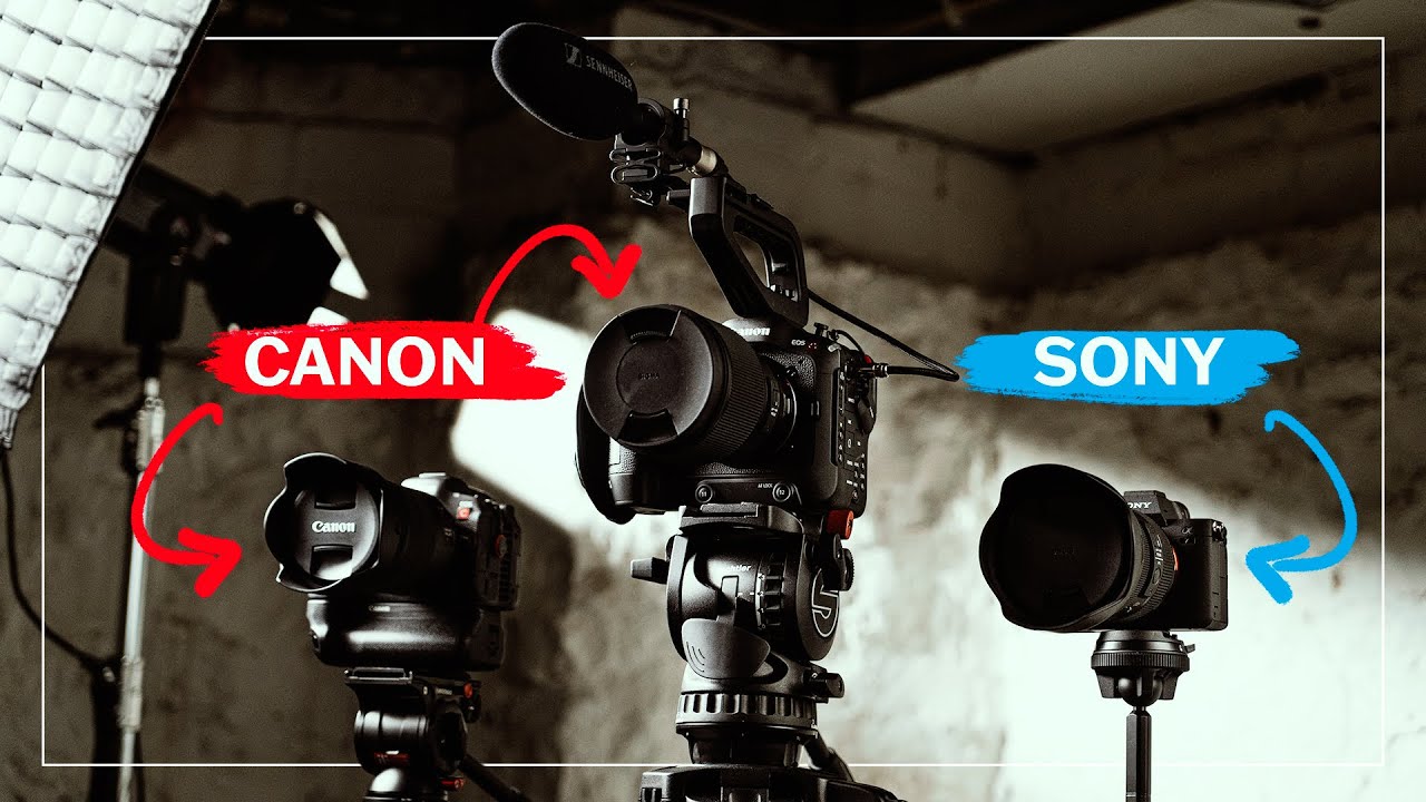 Matching footage from Canon and Sony cameras: Easier than I thought...