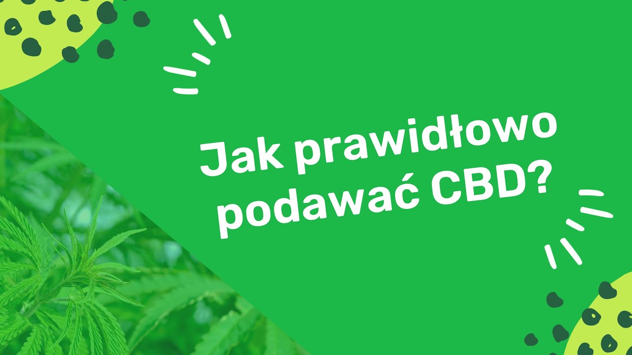 Jak prawidłowo przyjmować CBD/ Jak podawać olejek konopny, żeby dobrze się wchłonął?