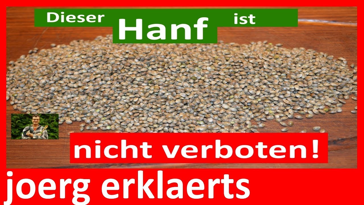 Cannabis-&Ouml;l Hanf-&Ouml;l selber pressen und herstellen aus Hanf Hanf&ouml;l Tutorial Nr.131